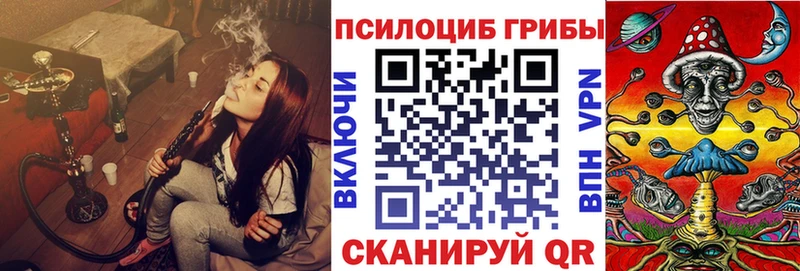 Псилоцибиновые грибы MAGIC MUSHROOMS  Купить где  Урюпинск 